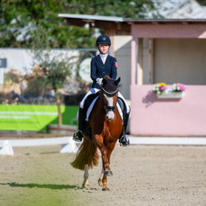 CDI Troisdorf 2023 - autumn