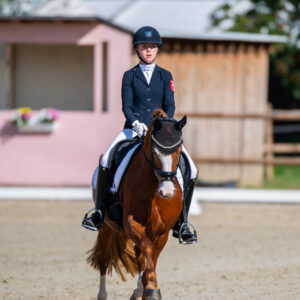 CDI Troisdorf 2023 - autumn