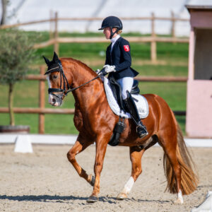 CDI Troisdorf 2023 - autumn
