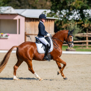 CDI Troisdorf 2023 - autumn