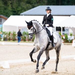 CDI Troisdorf 2023 - autumn