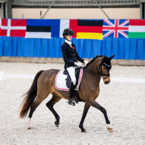 CDI Wroclaw 2023 - autumn