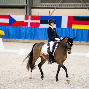 CDI Wroclaw 2023 - autumn