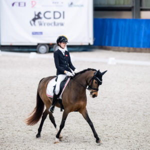 CDI Wroclaw 2023 - autumn