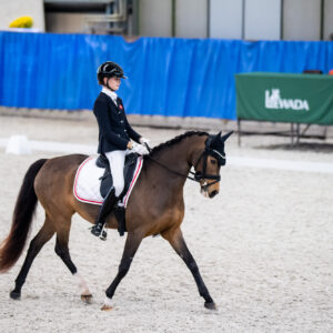 CDI Wroclaw 2023 - autumn