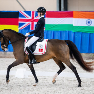 CDI Wroclaw 2023 - autumn