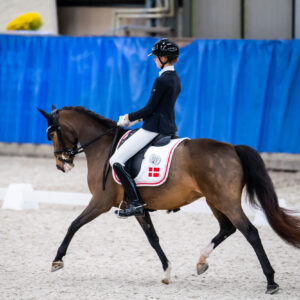CDI Wroclaw 2023 - autumn