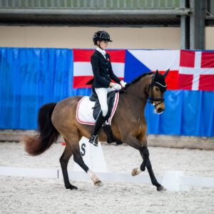 CDI Wroclaw 2023 - autumn