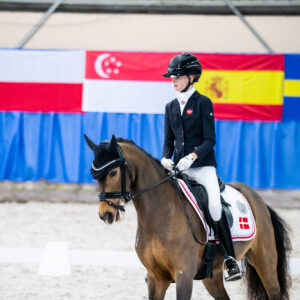CDI Wroclaw 2023 - autumn