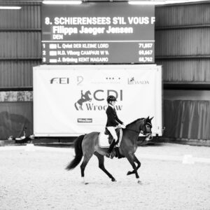 CDI Wroclaw 2023 - autumn