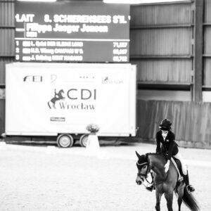 CDI Wroclaw 2023 - autumn