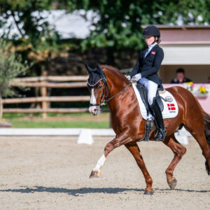 CDI Troisdorf 2023 - autumn
