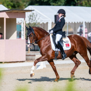 CDI Troisdorf 2023 - autumn