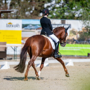 CDI Troisdorf 2023 - autumn