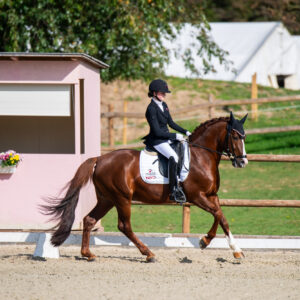 CDI Troisdorf 2023 - autumn