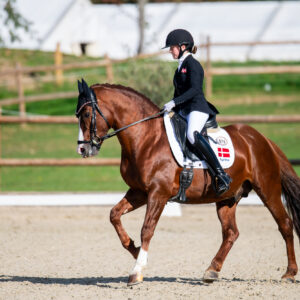 CDI Troisdorf 2023 - autumn