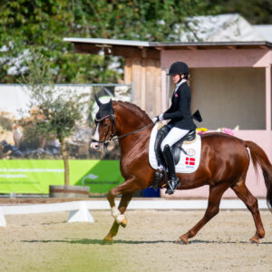 CDI Troisdorf 2023 - autumn