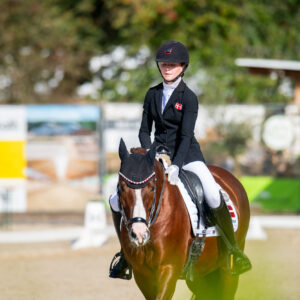 CDI Troisdorf 2023 - autumn