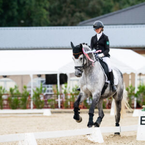 CDI Troisdorf 2023 - autumn
