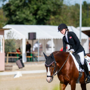 CDI Troisdorf 2023 - autumn