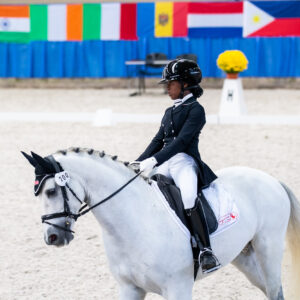 CDI Wroclaw 2023 - autumn