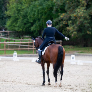 CDI Troisdorf 2023 - autumn