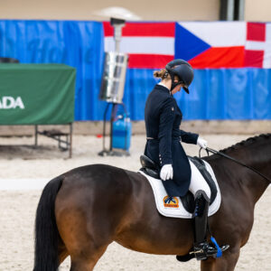CDI Wroclaw 2023 - autumn