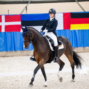 CDI Wroclaw 2023 - autumn