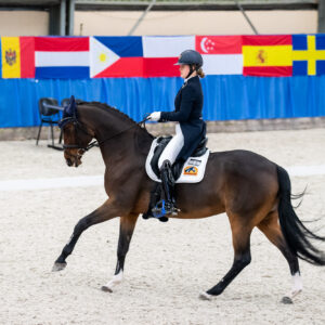 CDI Wroclaw 2023 - autumn