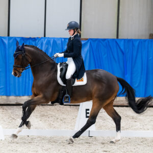 CDI Wroclaw 2023 - autumn