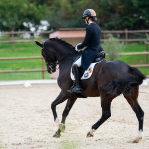 CDI Troisdorf 2023 - autumn