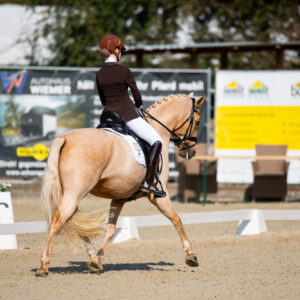 CDI Troisdorf 2023 - autumn