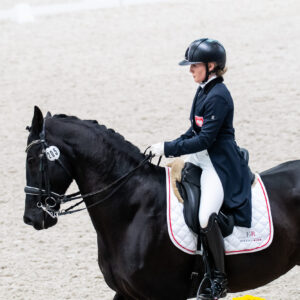 CDI Wroclaw 2023 - autumn