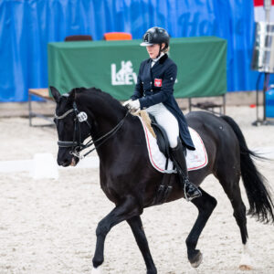 CDI Wroclaw 2023 - autumn
