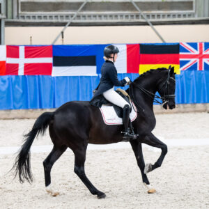 CDI Wroclaw 2023 - autumn