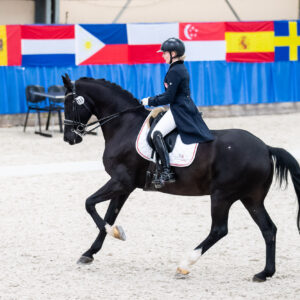 CDI Wroclaw 2023 - autumn
