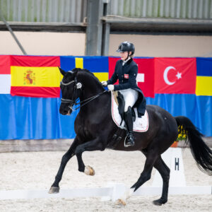 CDI Wroclaw 2023 - autumn