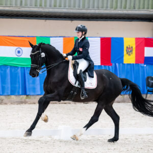 CDI Wroclaw 2023 - autumn