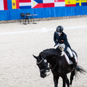 CDI Wroclaw 2023 - autumn