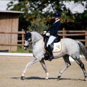 CDI Troisdorf 2023 - autumn