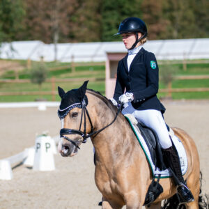 CDI Troisdorf 2023 - autumn