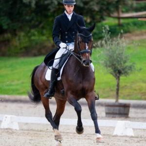 CDI Troisdorf 2023 - autumn