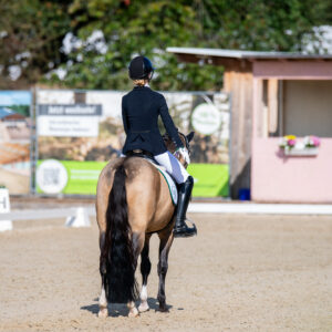 CDI Troisdorf 2023 - autumn