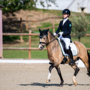 CDI Troisdorf 2023 - autumn