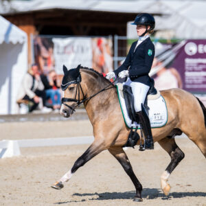 CDI Troisdorf 2023 - autumn