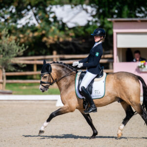 CDI Troisdorf 2023 - autumn