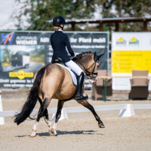 CDI Troisdorf 2023 - autumn