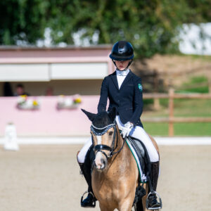 CDI Troisdorf 2023 - autumn