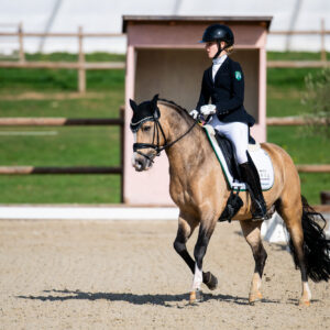 CDI Troisdorf 2023 - autumn