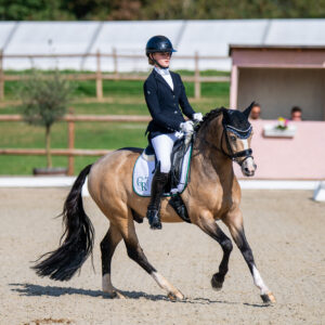 CDI Troisdorf 2023 - autumn